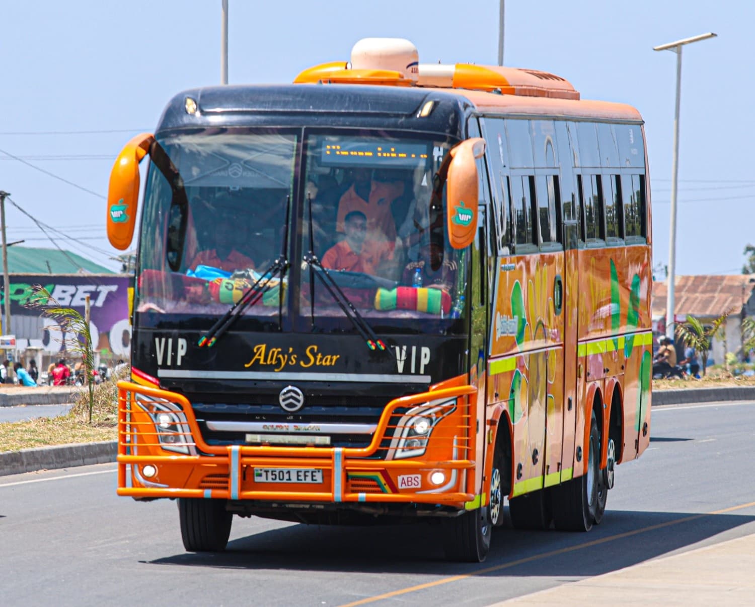 Ally's Star Bus External View 10