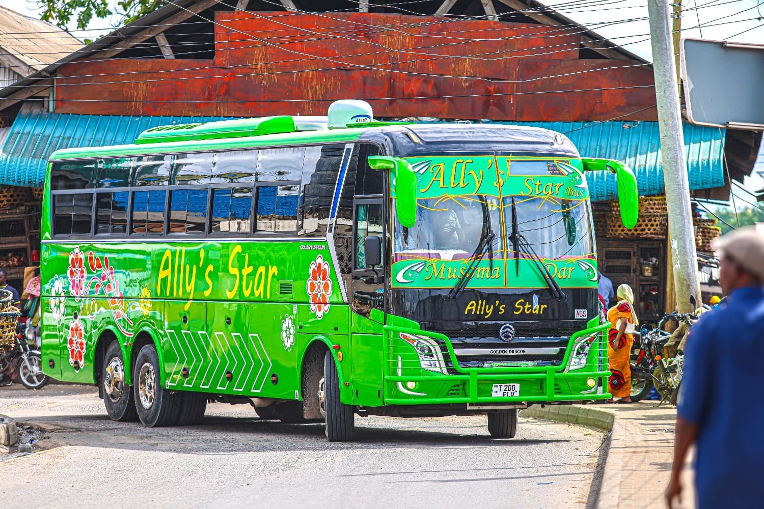 Ally's Star Bus External View 3
