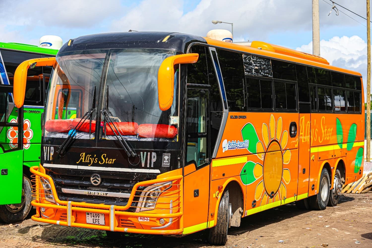 Ally's Star Bus External View 5