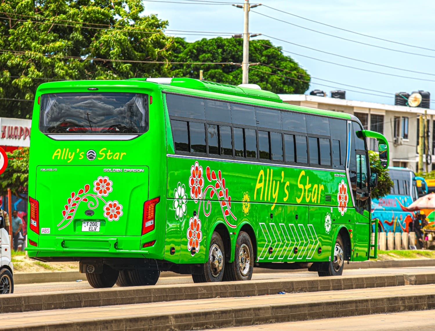 Ally's Star Bus External View 6